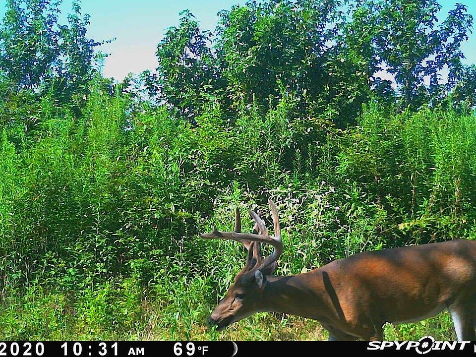 Na Na Hwy, Lockesburg, AR 71846 MLS 23009954 Zillow