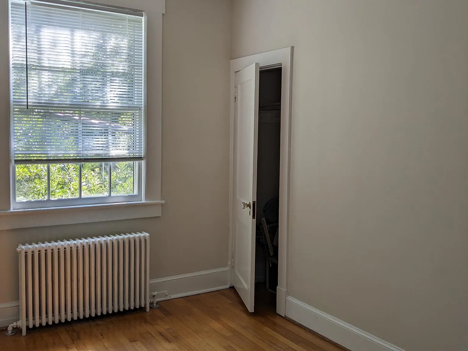 1 bed, 550 sqft, $1,599 — Photo 3