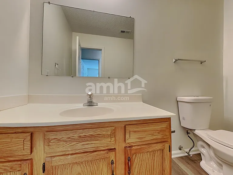 1407 Hyalyn Springs Ct — Photo 16