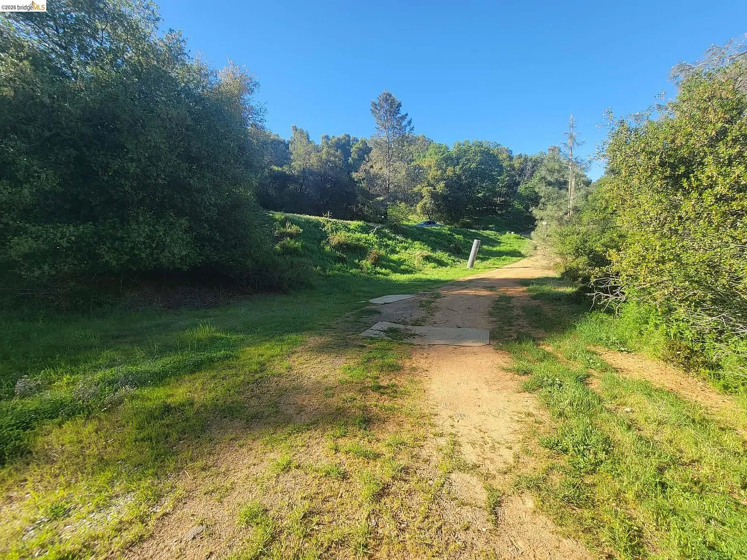 LOT 61 Red Heather Dr photo 1