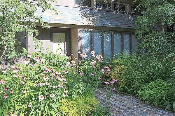 2nd image of 557 Bay Rd #1