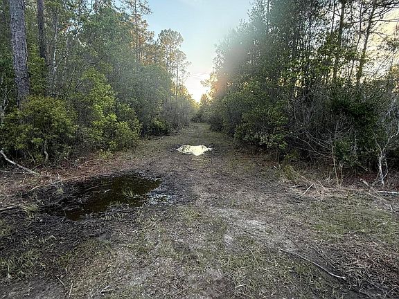 2nd image of 13816 Forts Lake Rd