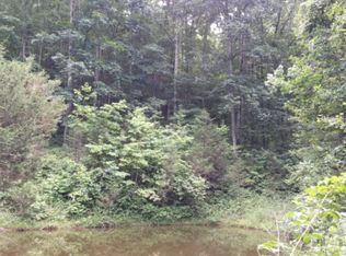 26 Acres Rebel Hollow Rd, Sneedville, TN 37869