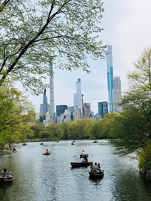 Rented by Jade Stone Real Estate Consulting | media 7