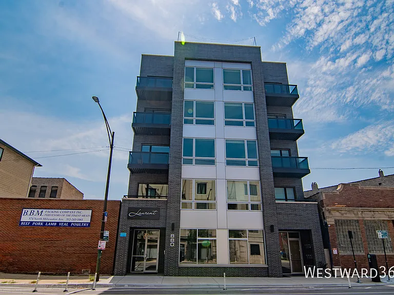 880 N Milwaukee Ave #2S — Photo 18