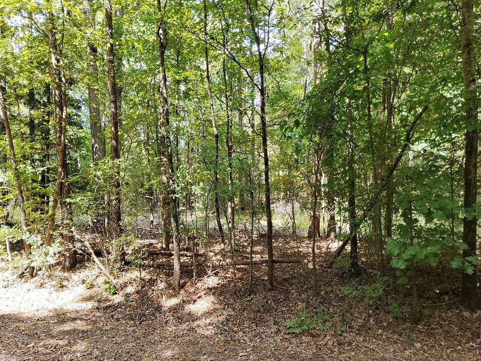 2nd image of 0 Little Bethel Rd