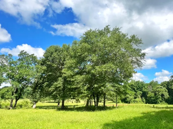 60 Acres Cres #1080, Fairfield, TX 75840