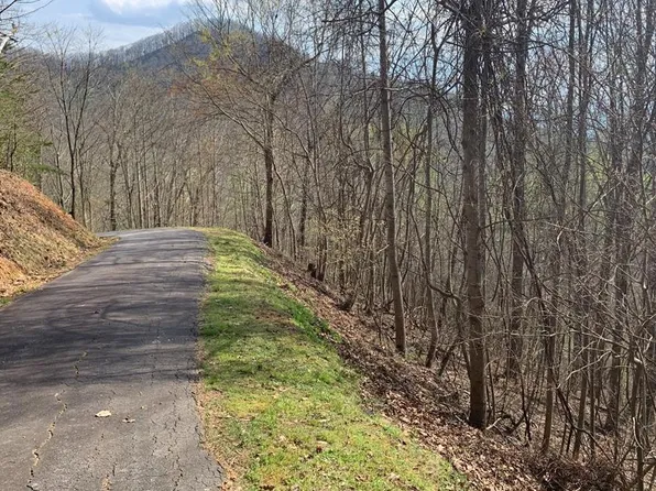 11 High Meadows Dr, Hayesville, NC 28904