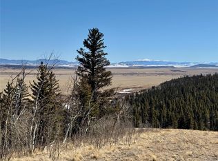 1872 High Creek Rd, Fairplay, CO 80440