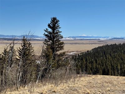1872 High Creek Rd, Fairplay, CO, 80440