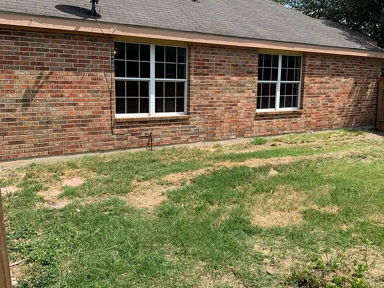 Side view of back yard