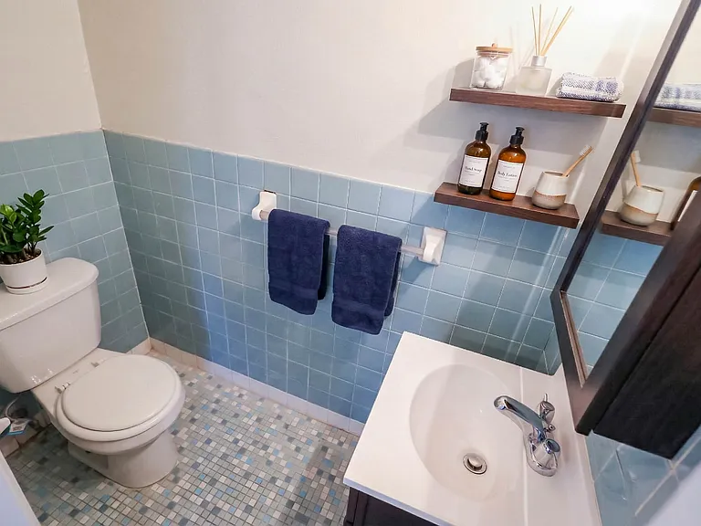 Pine Terrace A3 Bathroom