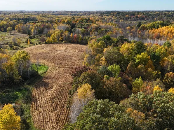 37102 Grandy Pines Rd NE, Stanchfield, MN 55080