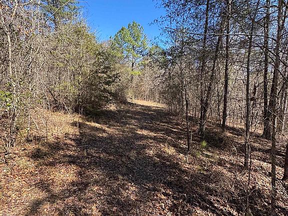 5th image of 19075 Westside Rd #5