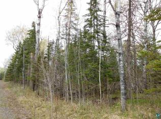 25XX Old 13 Rd, Pt Wing, WI 54865