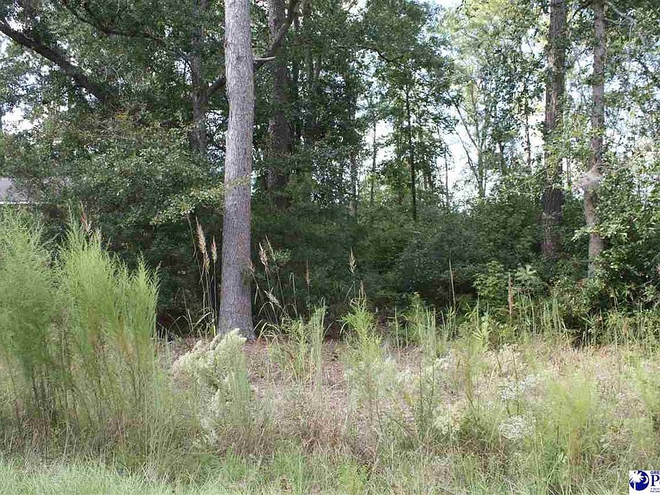 1st image of 243 Byrnes Cir
