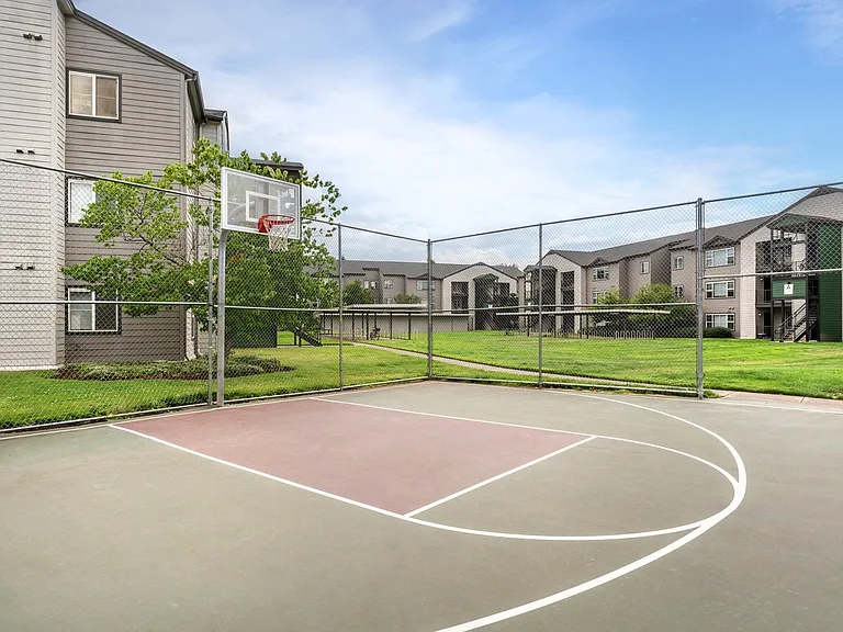 Basketball Court
