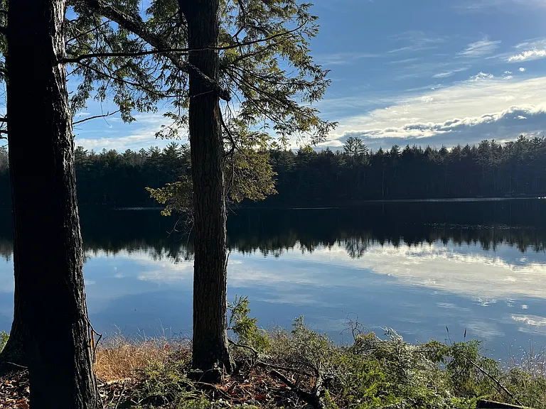 A view across the semi-private pond, which is full of fish and fine clear water for swimming, but no motorized boats.