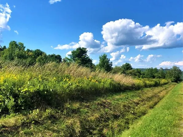 0 Demunn Rd Lot 4-DIX, Beaver Dams, NY 14812