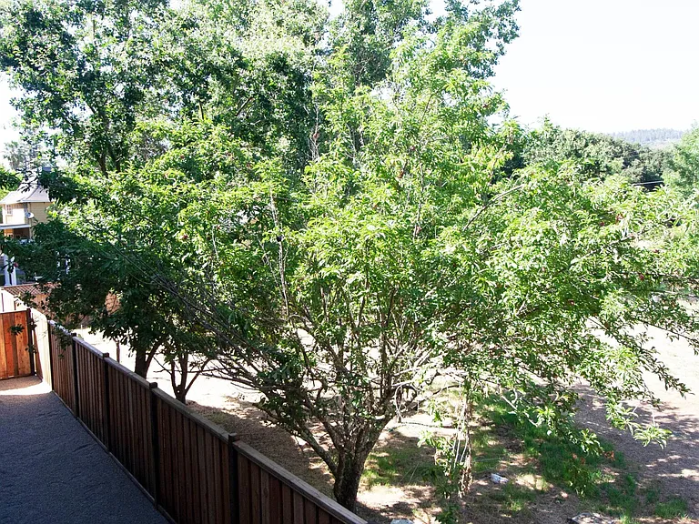 632 McCorkle Ave #B — Photo 7