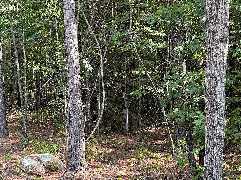 2nd image of 0 Lone Bear Path #13
