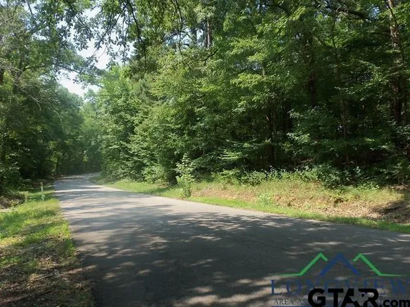 Willow Springs Rd, Kilgore, TX 75662