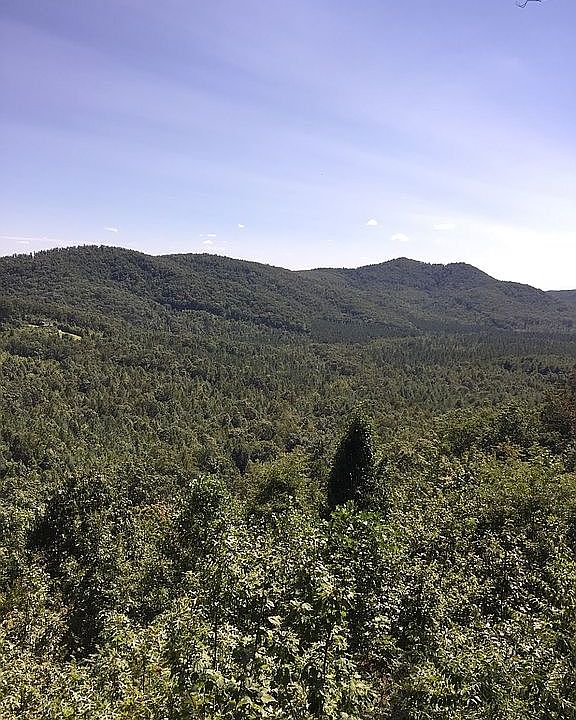 1st image of Macedonia Ch Rd