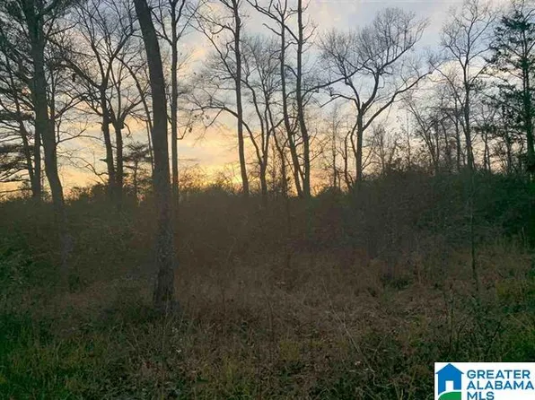 0 County Road 52 #0, Cedar Bluff, AL 35959