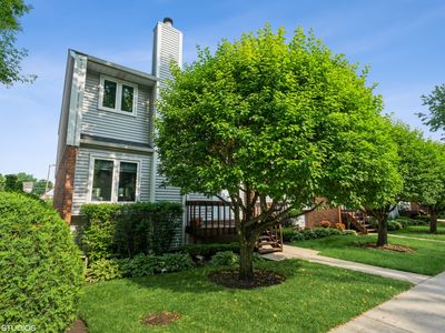 8535 Ferris Ave, Morton Grove, IL, 60053