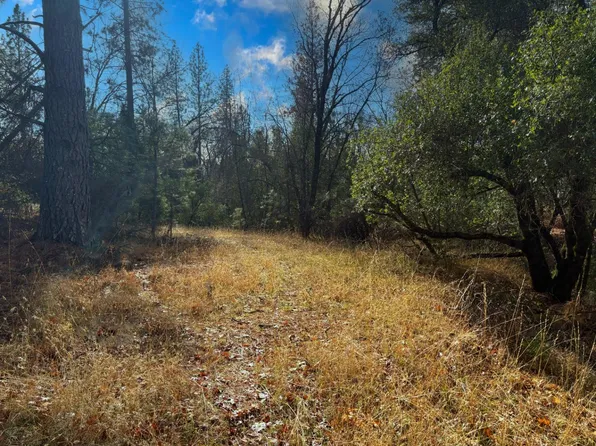 4543 N Railroad Flat Rd, Wilseyville, CA 95257