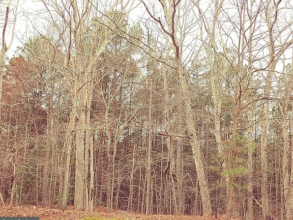 5th image of 24350 Horse Shoe Rd