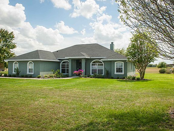 Small garden in backyard