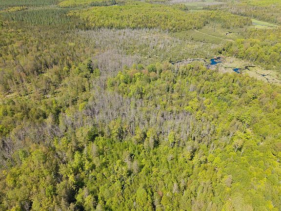4th image of Island Lake Rd S