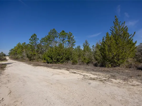 0 NE 64th Pl, Williston, FL 32696