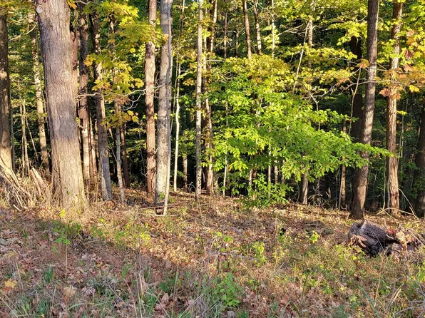 0 Four Mile Ridge Rd, Nashville, IN 47448