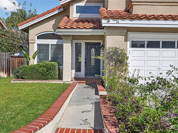 3rd image of 16 Mapache