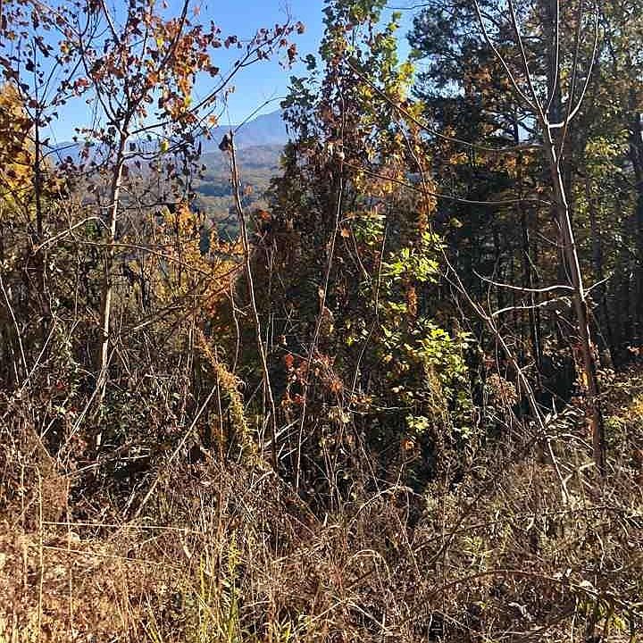 1st image of 0 Fox View Rd Lot 8-9&1