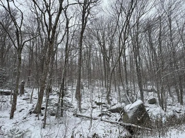 Bergrucken Lane #139 & 140, Readsboro, VT 05350