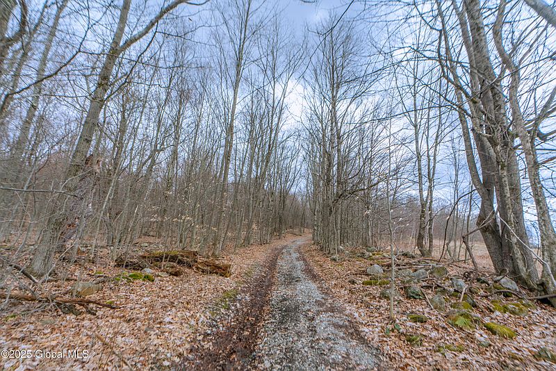 3rd image of 52 Oak hill Road