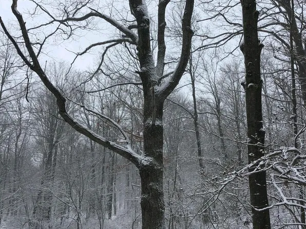 000 Janesville Pike, Tyrone, PA 16686