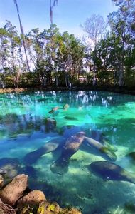 11646 W Cockscomb Dr, Crystal River, FL, 34428