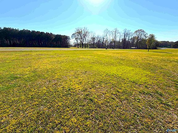 3rd image of LOT 17 County Road 459