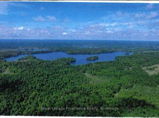 0 Steenburg Lake Rd N, Limerick, ON K0L1W0