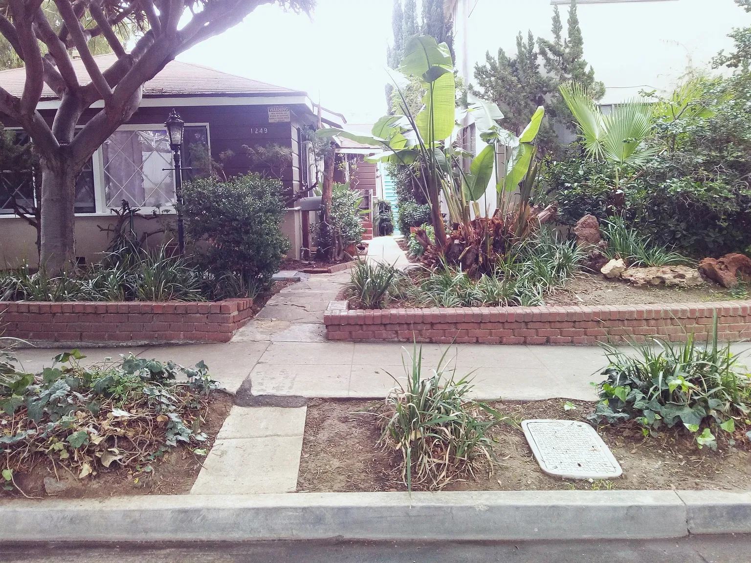 Franklin St, Santa Monica — Photo 2