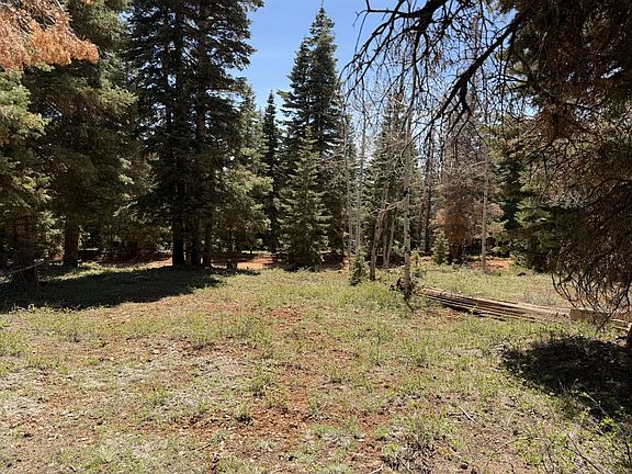 2nd image of 79 W Berry Loop