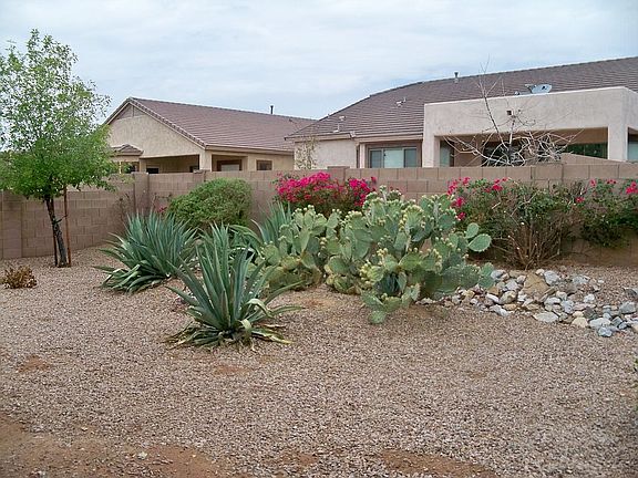 Back yard