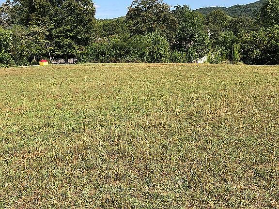 Field