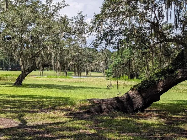 17338 Palamino Lake Dr, Dade City, FL 33523
