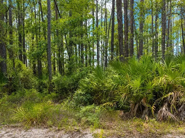0 Baker Creek Rd, Nahunta, GA 31553
