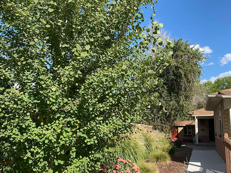 View of covered porch/entry into 3218.